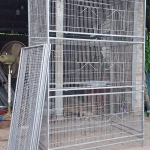 All birds cage