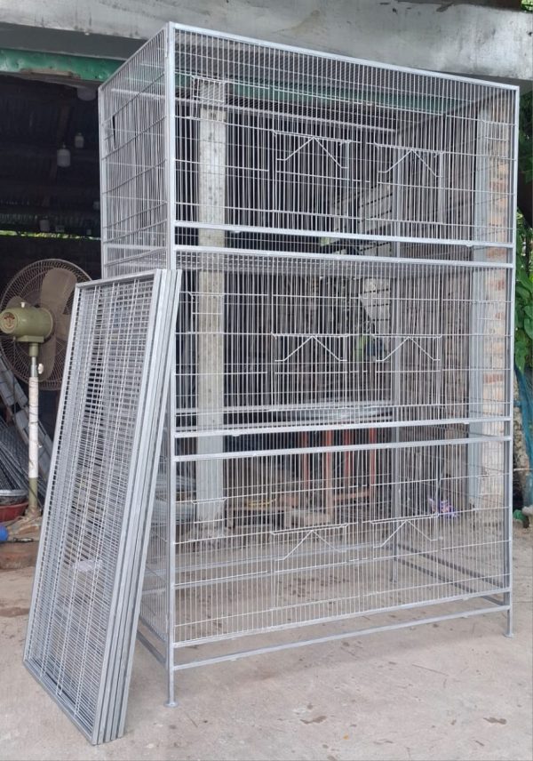 All birds cage